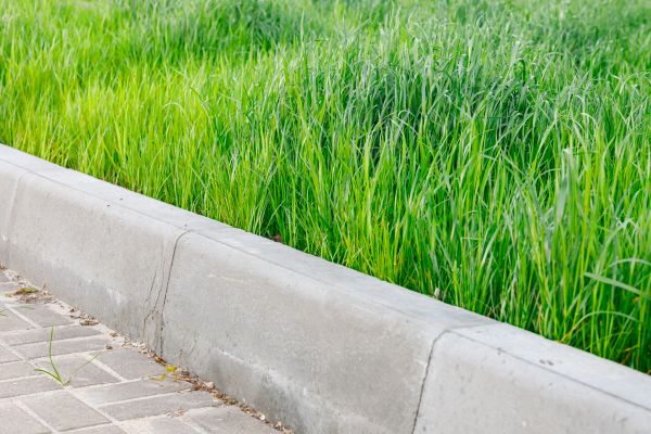 Concrete Curb Repair Service