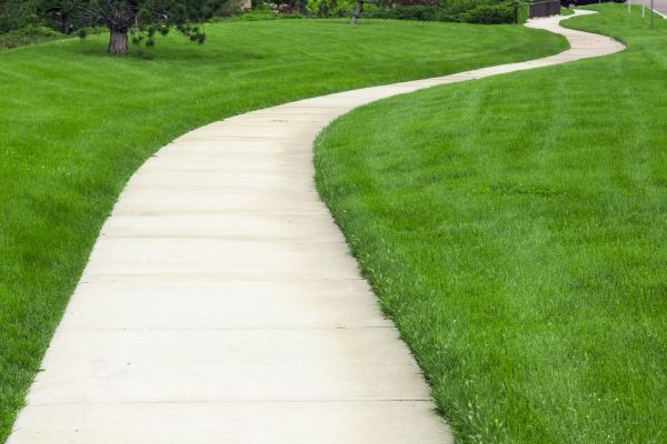 Path Repair